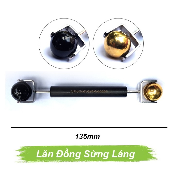 Lăn đồng sừng láng Lăn đồng sừng láng