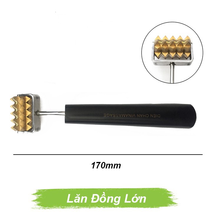 Lăn đồng gai đơn lớn Lăn đồng gai đơn lớn