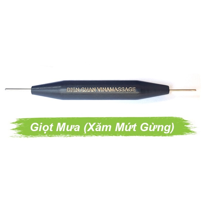Cây giọt sương (Xăm mứt gừng) Cây giọt sương (Xăm mứt gừng)