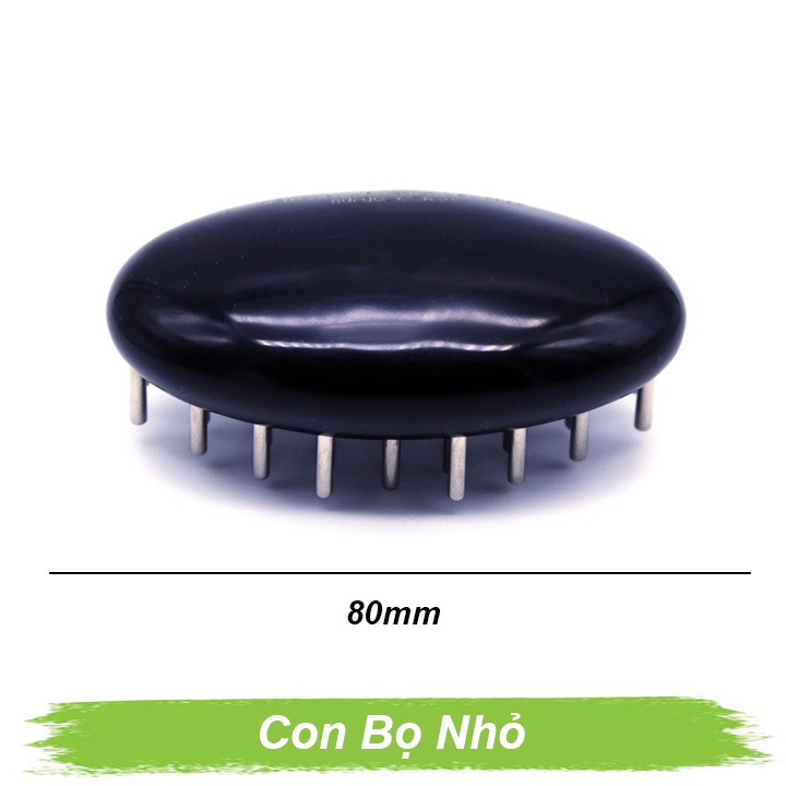 Lược con bọ nhỏ Lược con bọ nhỏ