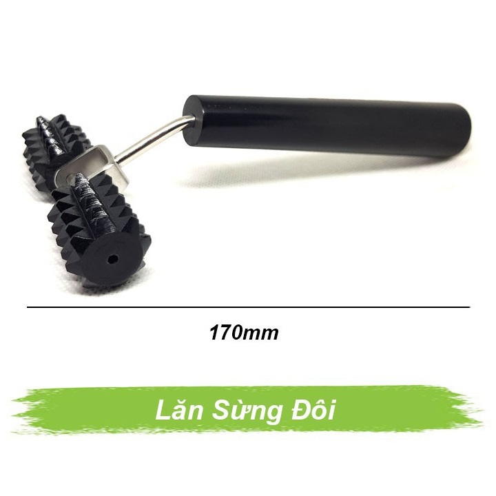 Lăn sừng đôi lớn Lăn sừng đôi lớn