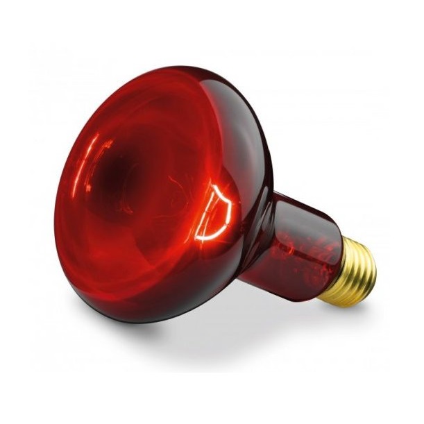 Bóng đèn hồng ngoại Philips 100w Bóng đèn hồng ngoại Philips 100w
