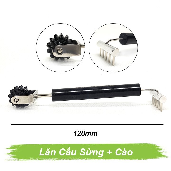Lăn sừng cầu cào Lăn sừng cầu cào