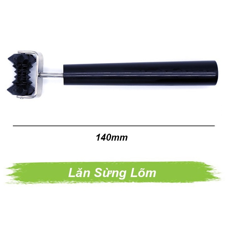 Lăn sừng lõm Lăn sừng lõm