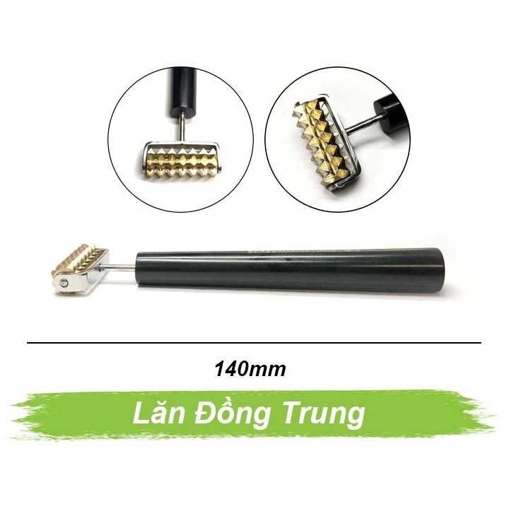 Lăn đồng gai đơn trung Lăn đồng gai đơn trung