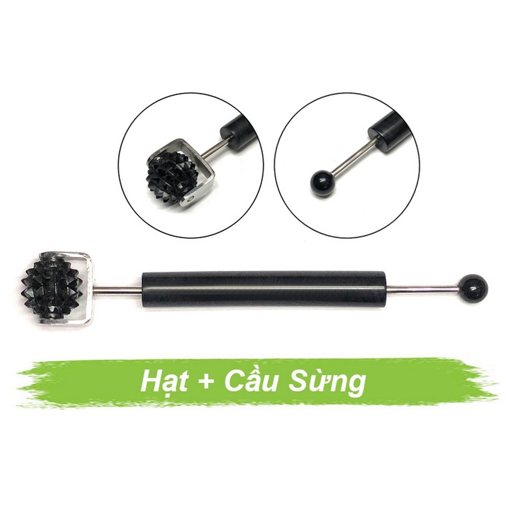 Lăn cầu sừng dò hạt Lăn cầu sừng dò hạt