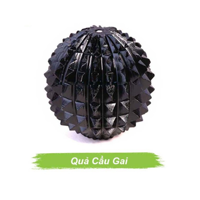 Quả cầu gai sừng Quả cầu gai sừng