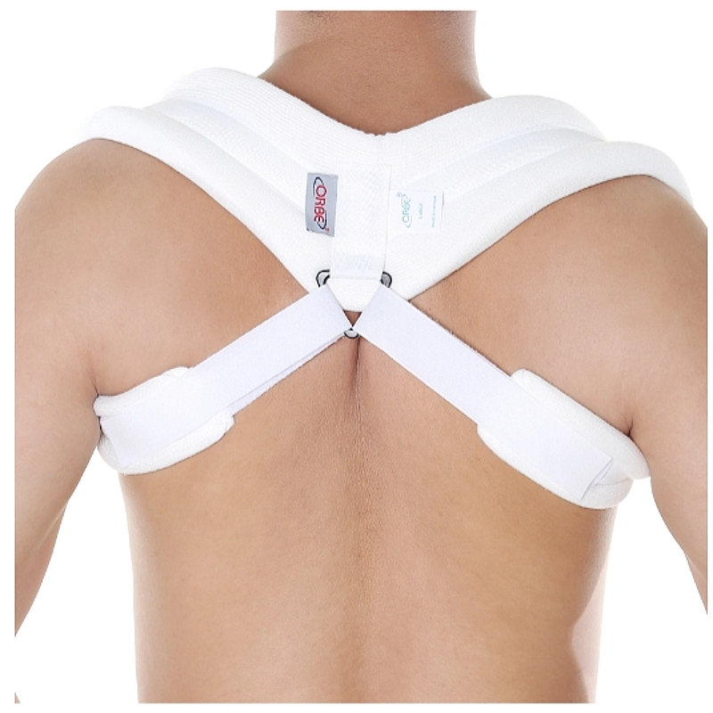 Đai số 8 Orbe Đai số 8 Orbe