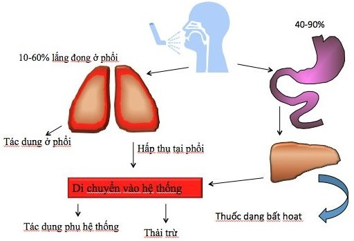 Máy Xông Mũi Họng Microlife NEB 200