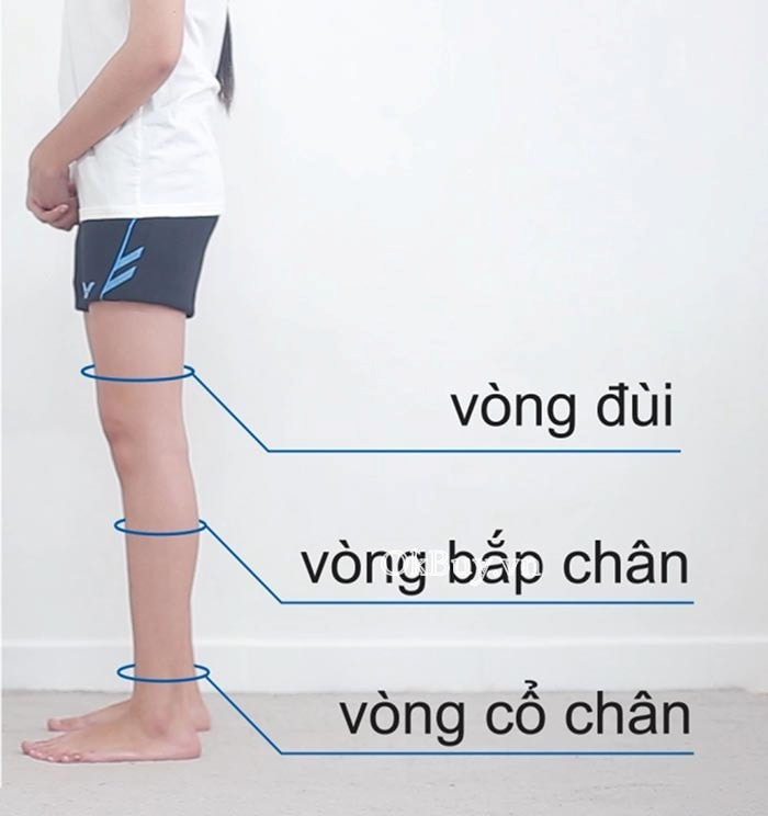 Vớ Y Khoa Belsana (Vớ Gối ) + (Vớ Đùi )